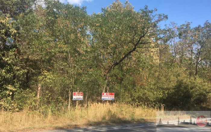 straßenbegleitende und noch bewachsene Ansicht